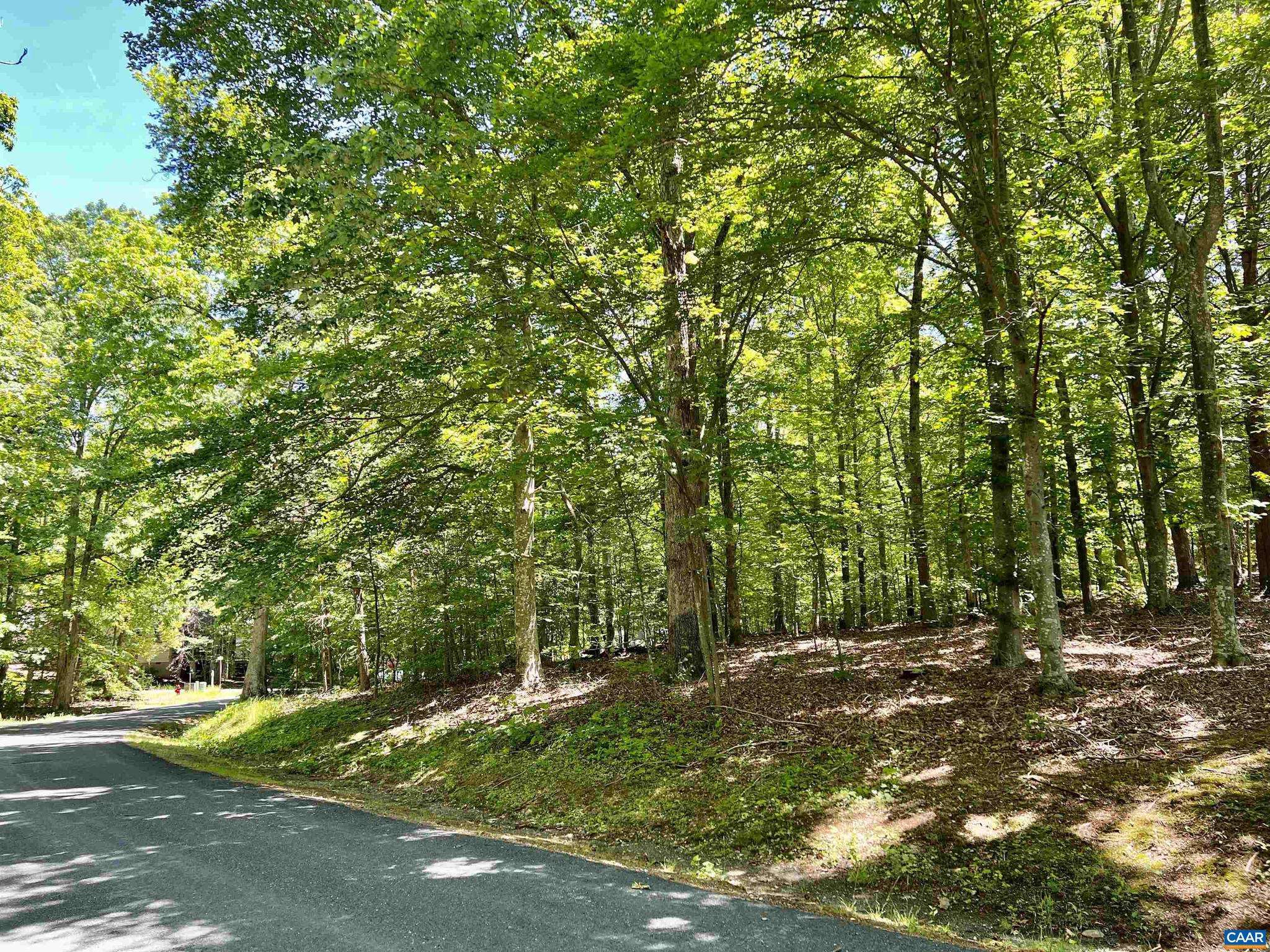 Nellysford, VA 22958,23 BARN OWL LN