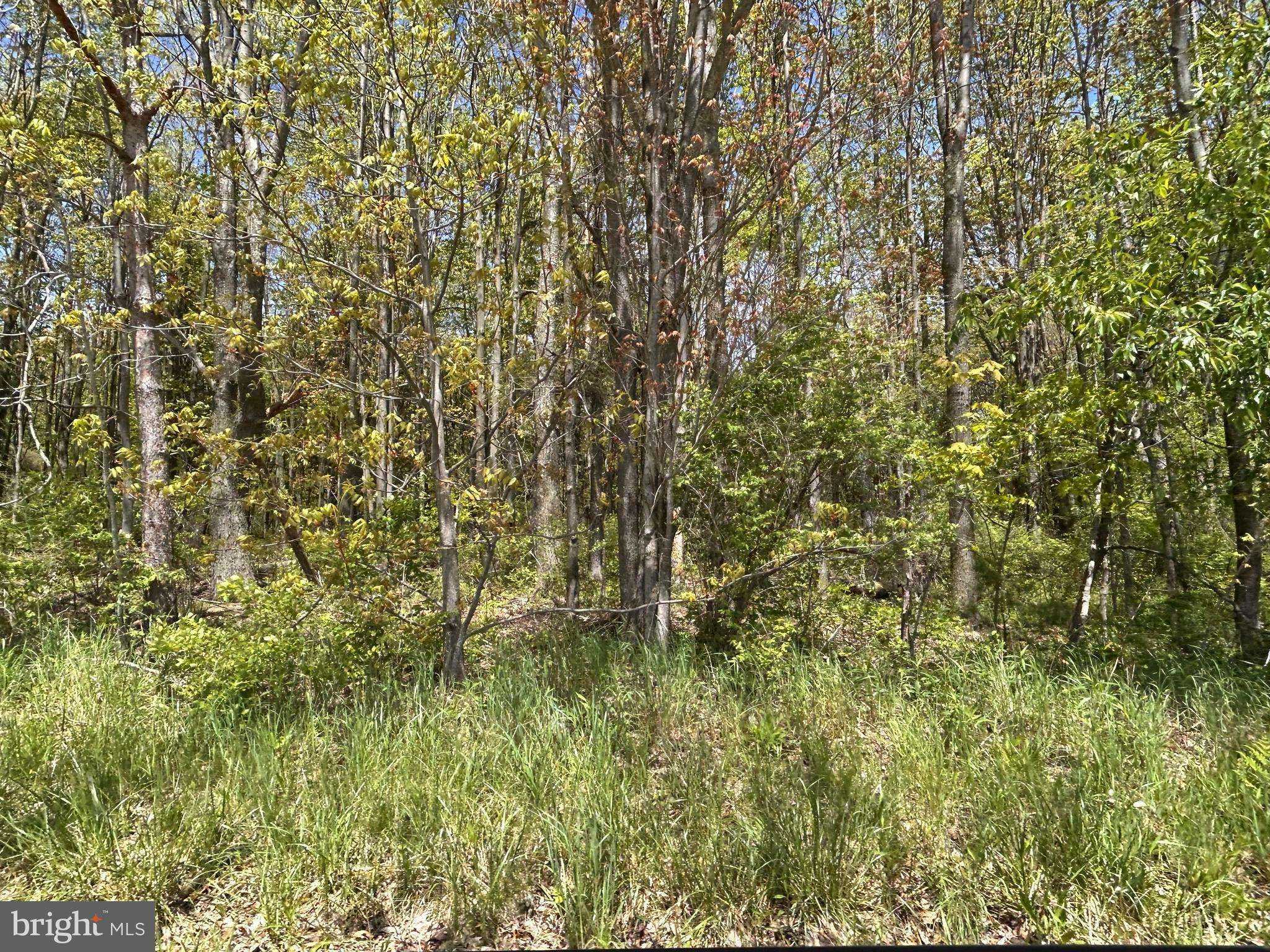 Philipsburg, PA 16866,0 HARRIS ST