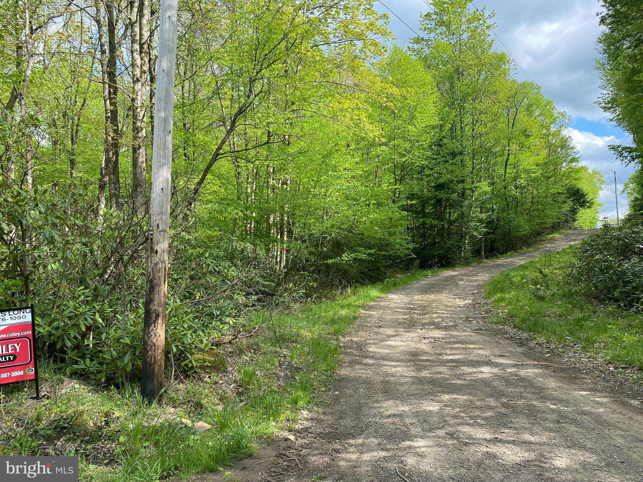 Oakland, MD 21550,LOT 3 DEER RUN RD