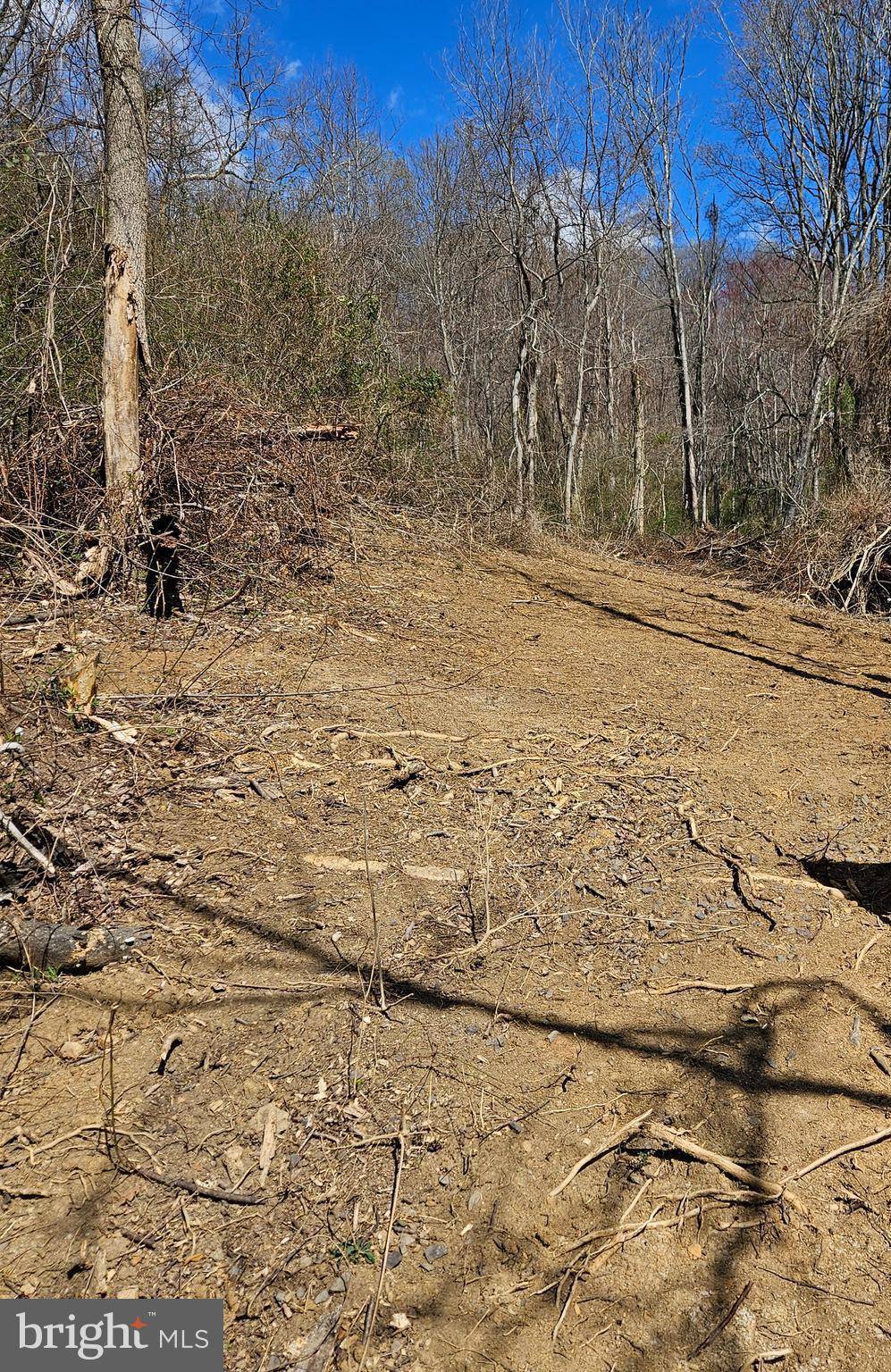 Sperryville, VA 22740,0 MOON ROAD