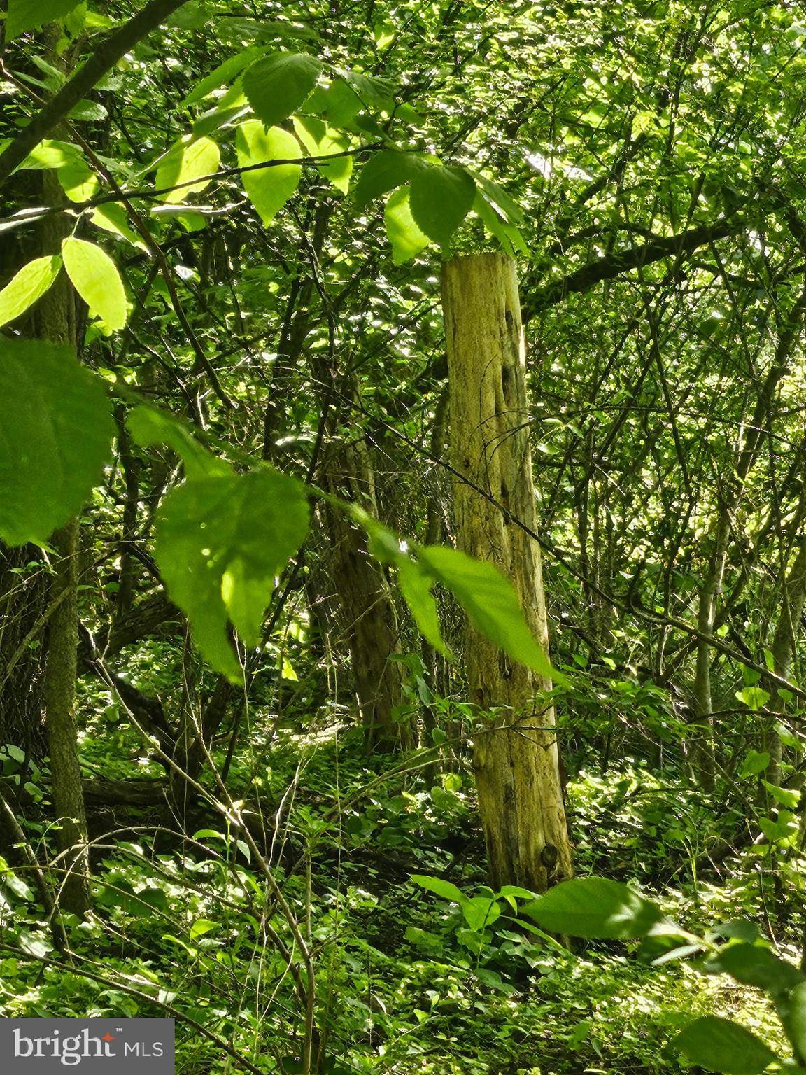 Strasburg, VA 22657,DEER RAPIDS ROAD