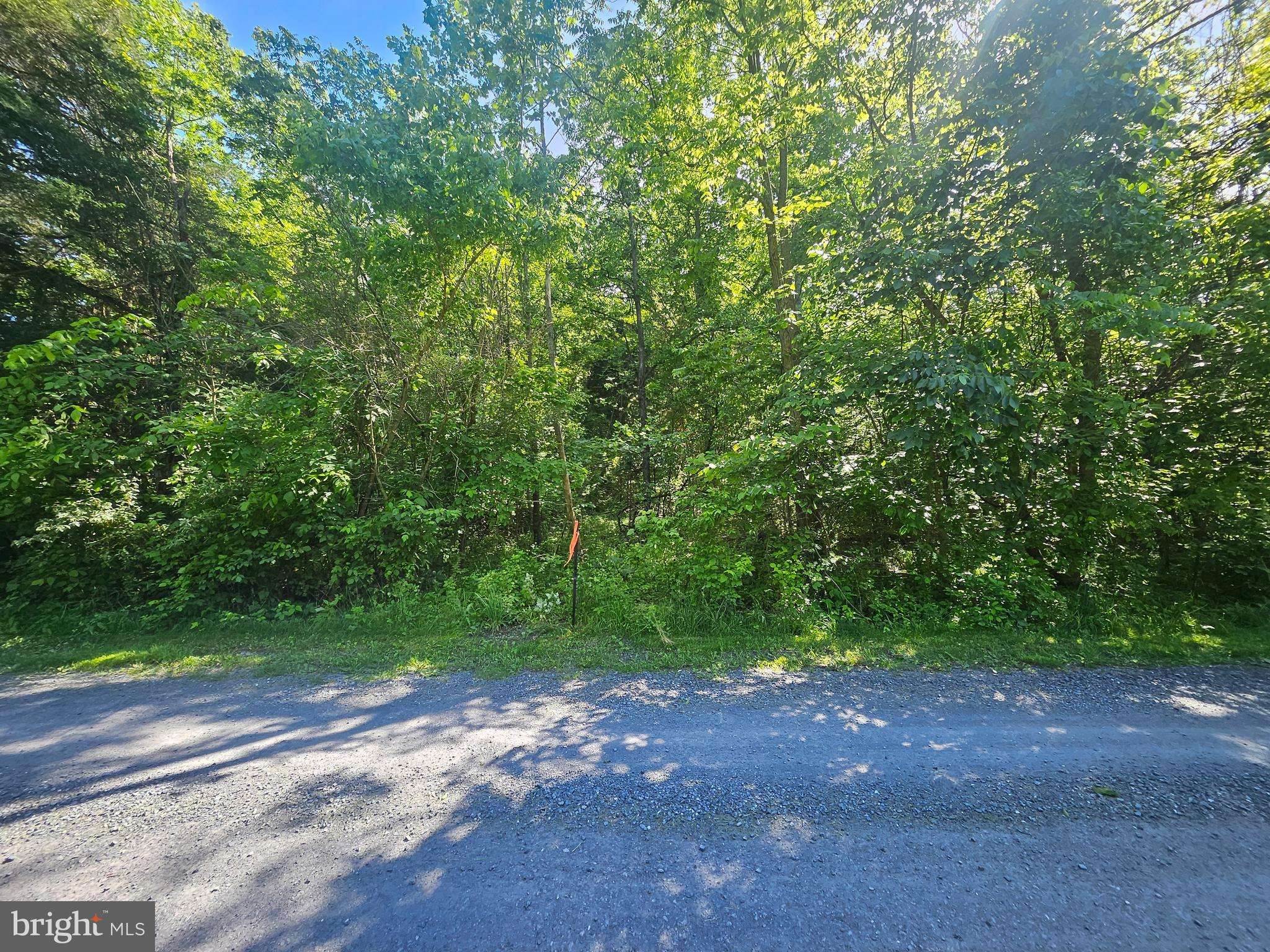 Strasburg, VA 22657,DEER RAPIDS ROAD