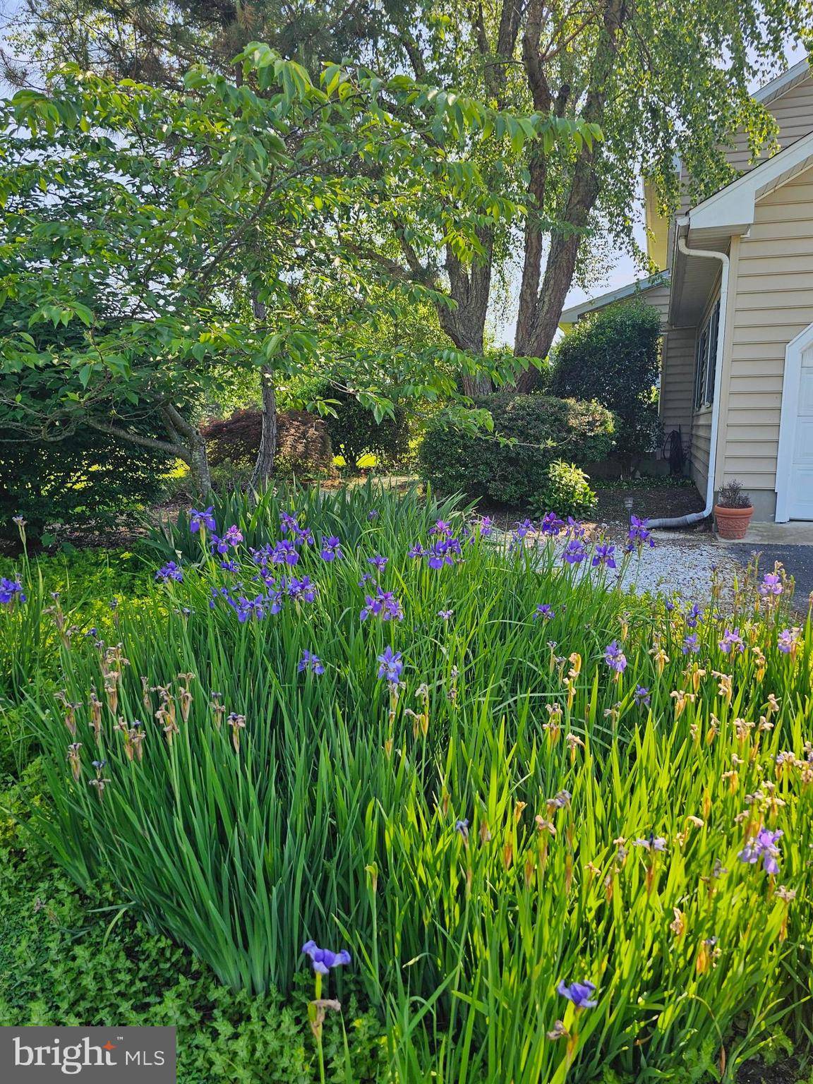 Saint Michaels, MD 21663,24749 SWAN RD