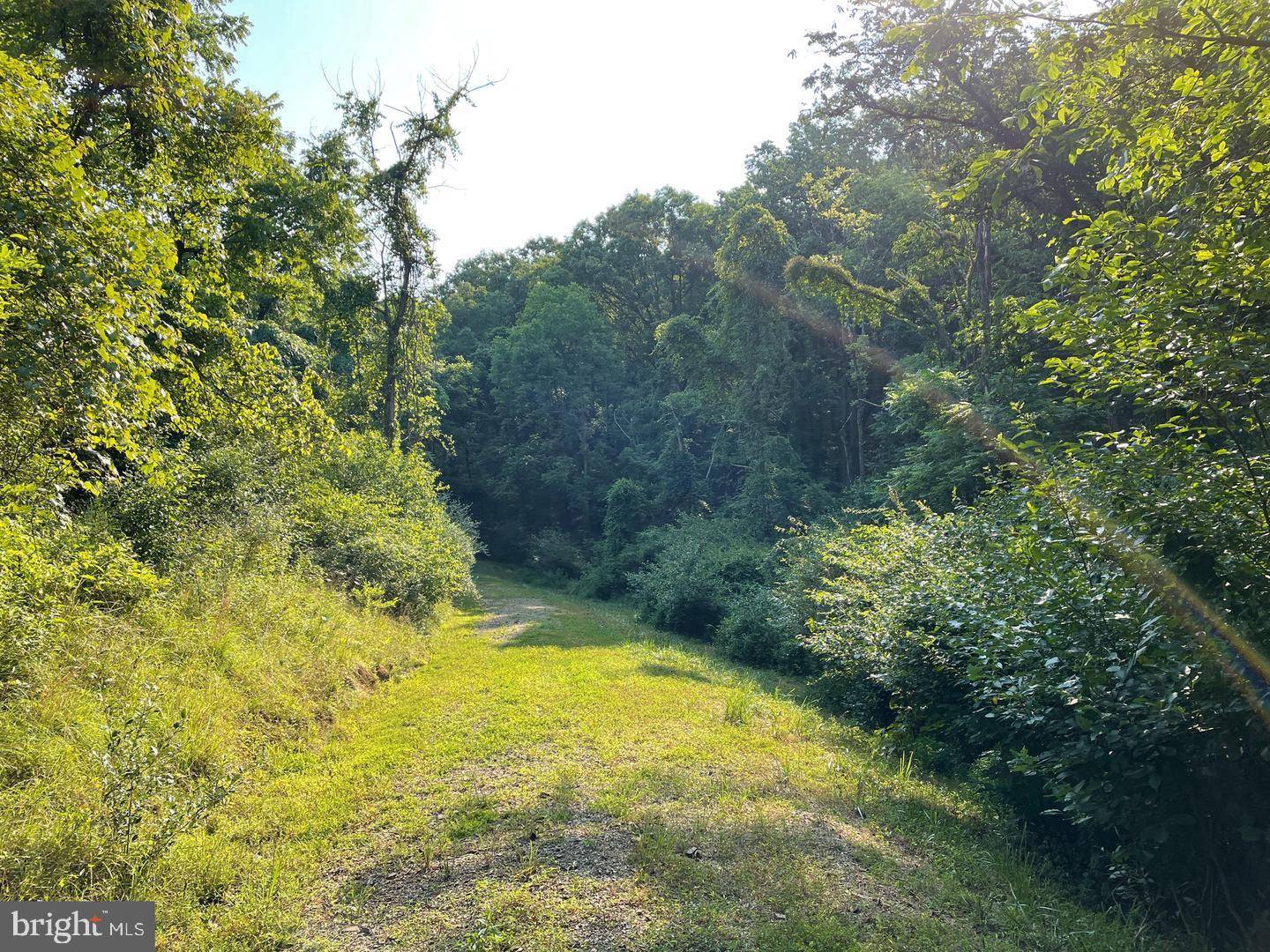 Springfield, WV 26763,TUPELO LOOP