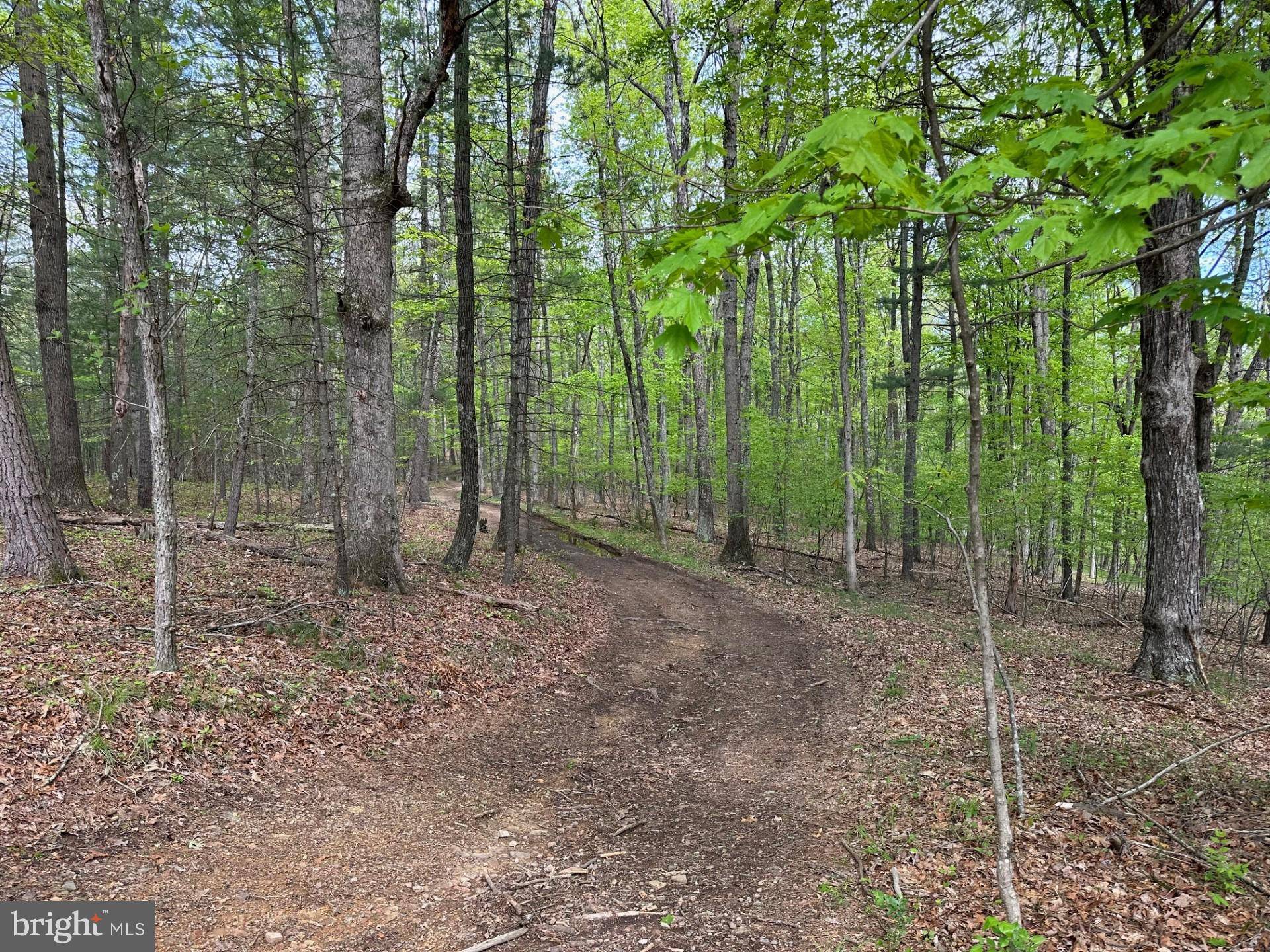 Artemas, PA 17211,ROLAND WAY ROAD