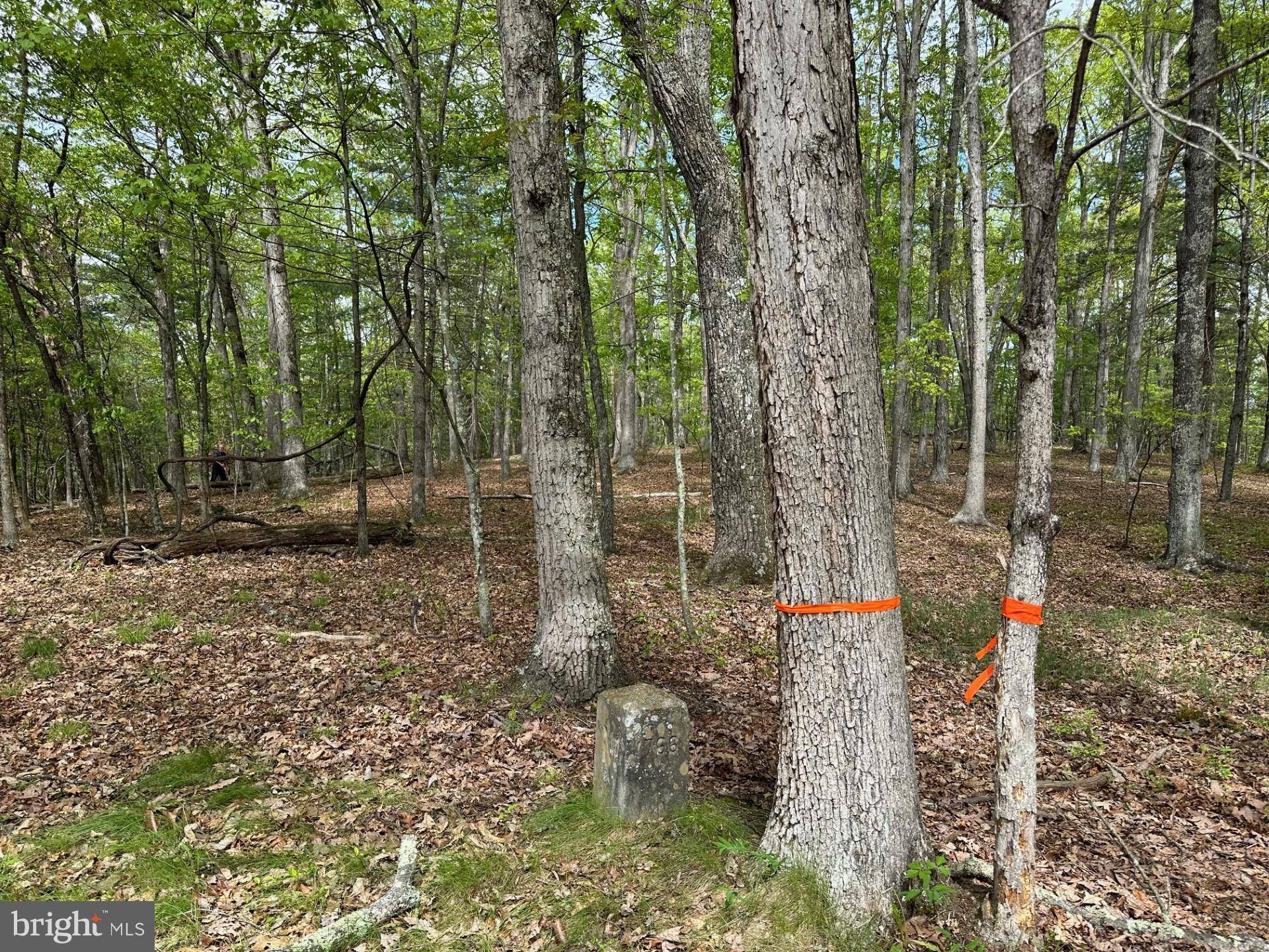 Artemas, PA 17211,ROLAND WAY ROAD