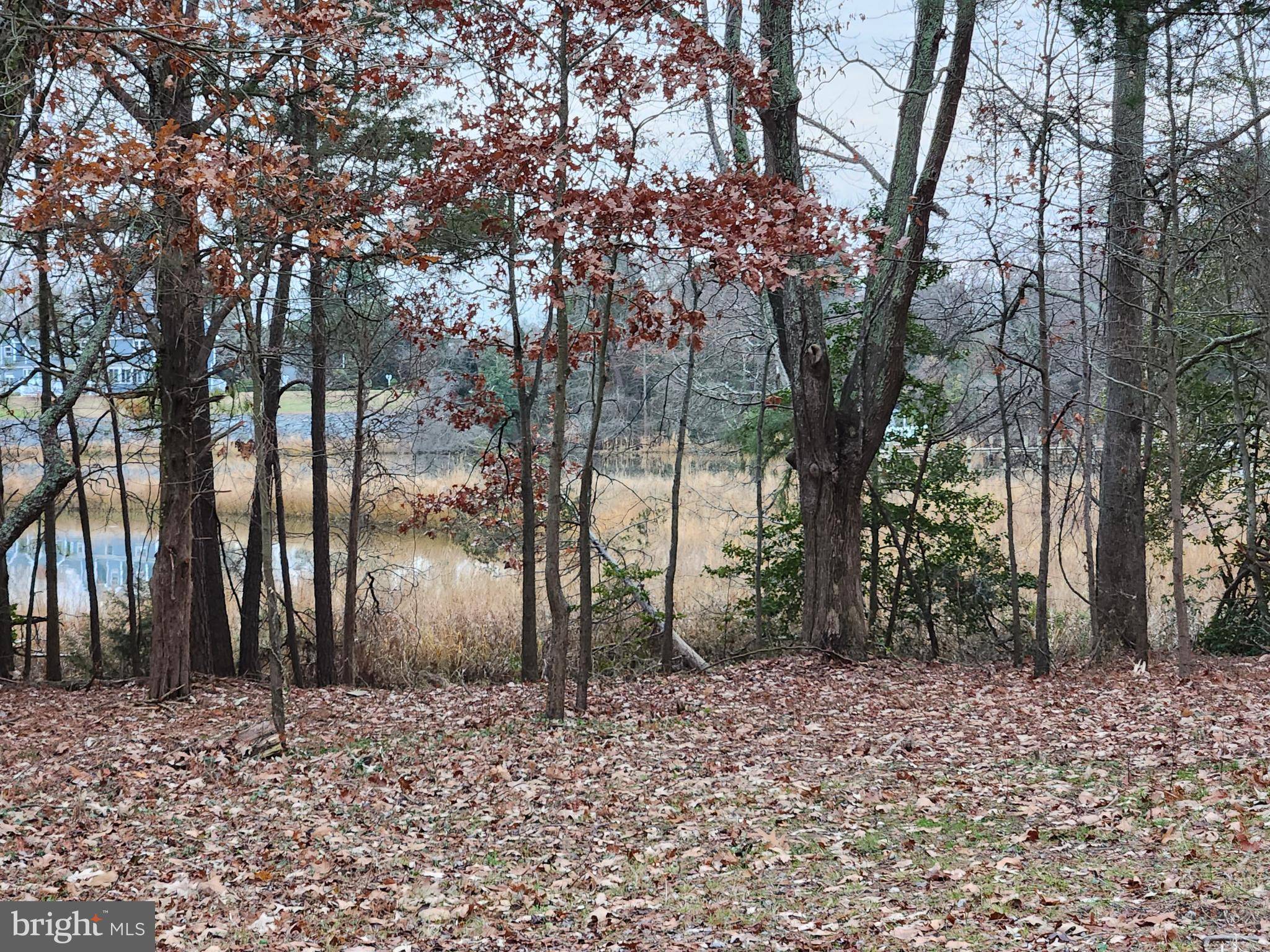 Colonial Beach, VA 22443,LOT 8 MARILOU LN