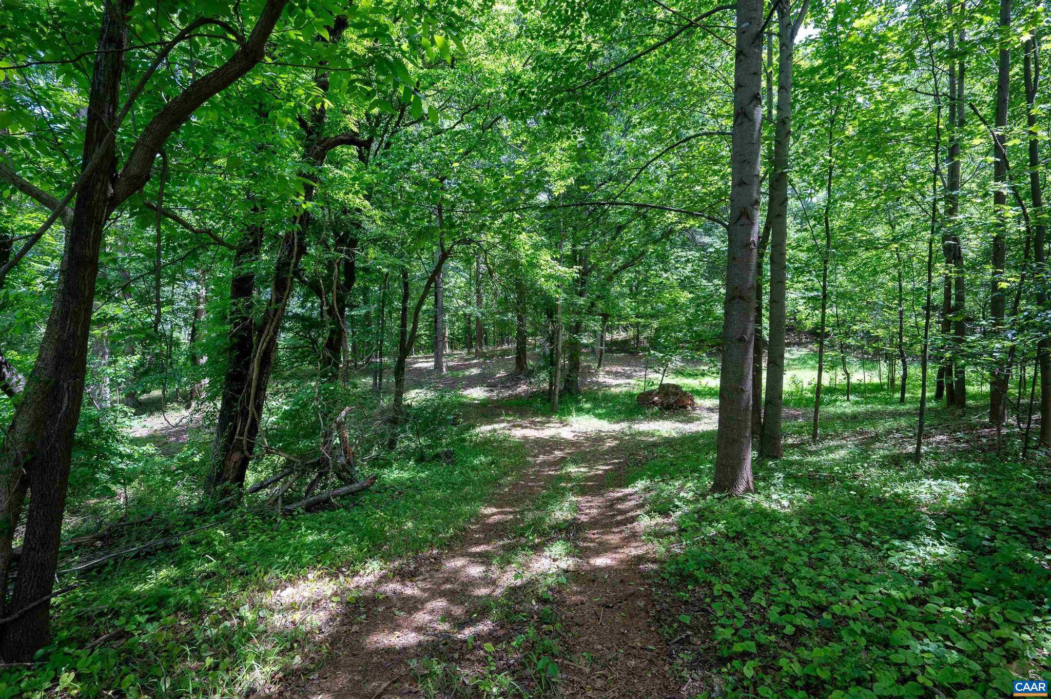 Crozet, VA 22932,TBD HALF MILE BRANCH RD #055A0-00-00-00500