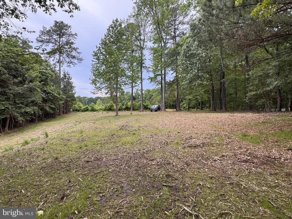 White Stone, VA 22578,0 JAMES WHARF ROAD