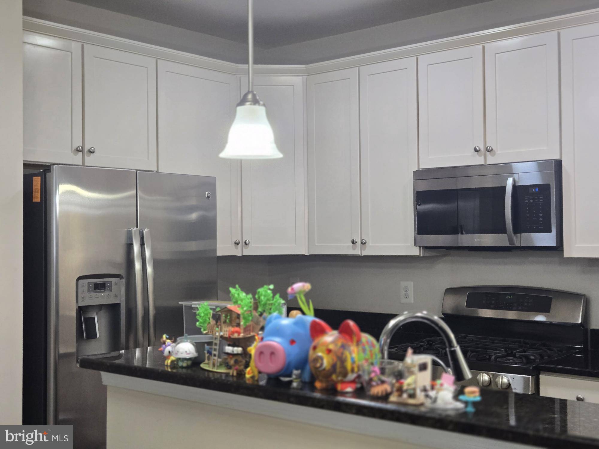 Chantilly, VA 20152,43607 HELMSDALE TER