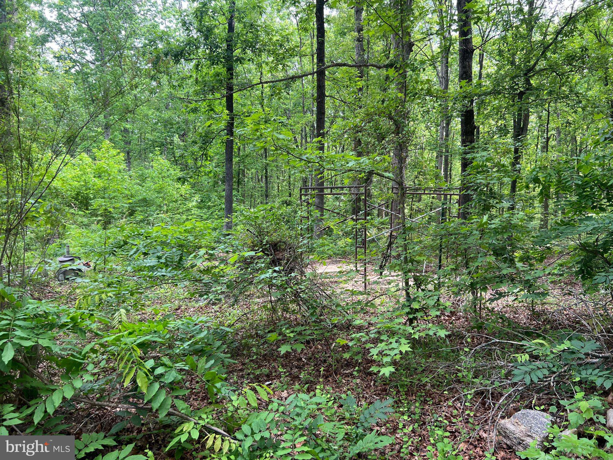 Locust Grove, VA 22508,13012 ORANGE PLANK RD