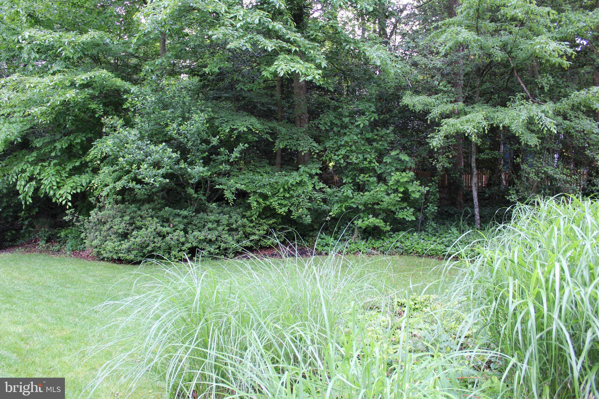 Springfield, VA 22152,8706 FOX RIDGE RD