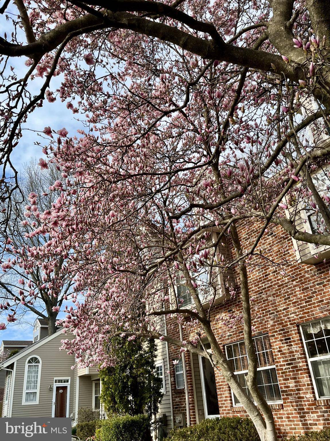 Chesterbrook, PA 19087,304 CHESWOLD CT #304