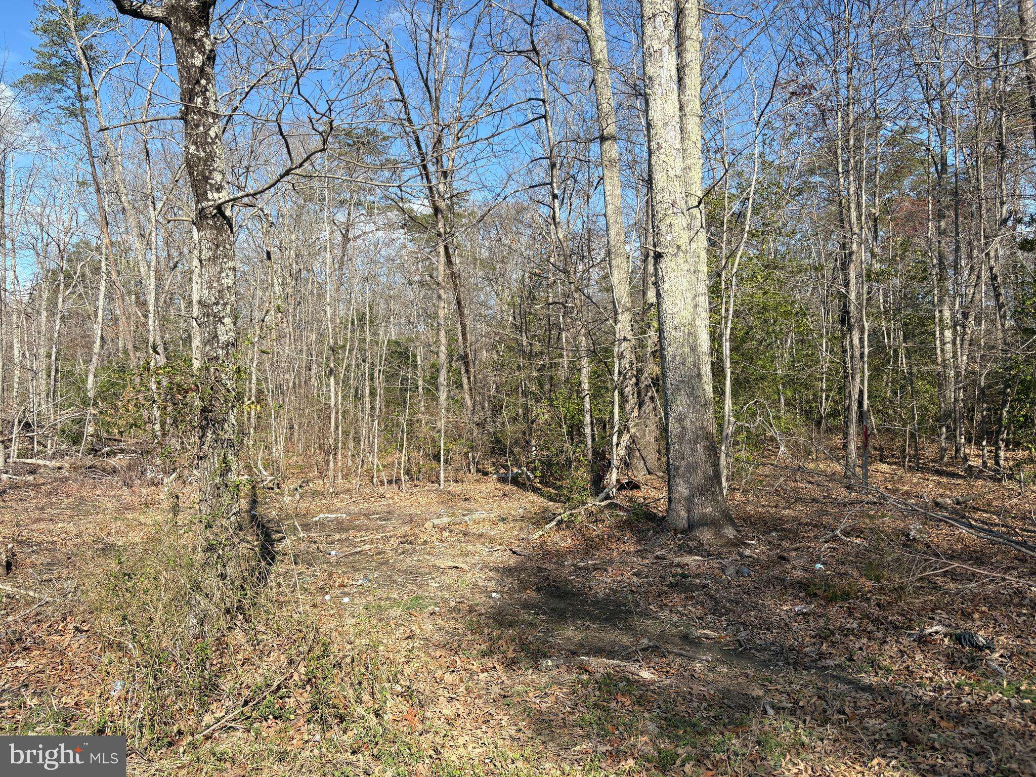 Brandywine, MD 20613,BRANDYWINE RD