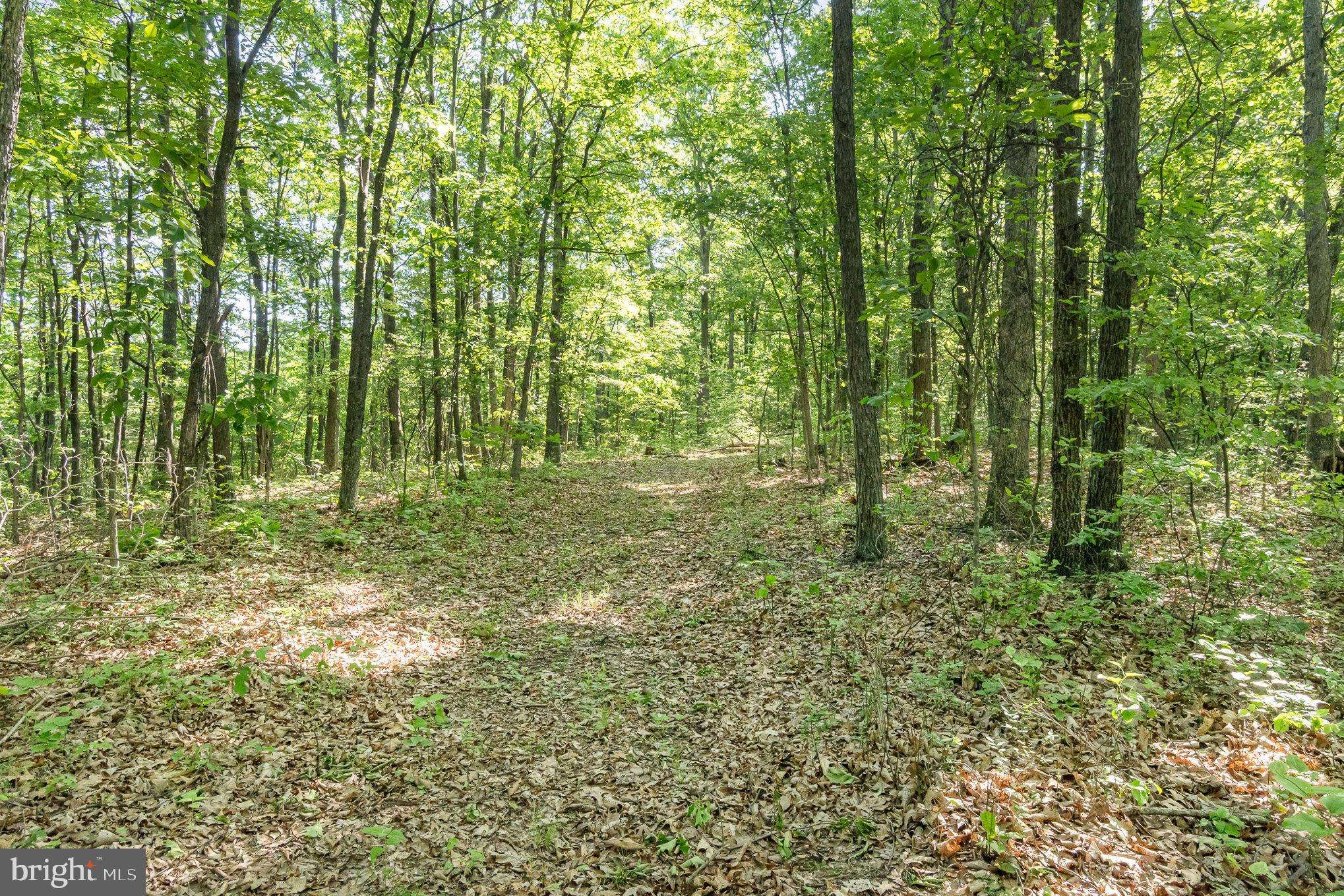 Warfordsburg, PA 17267,718 COON HOLLOW RD