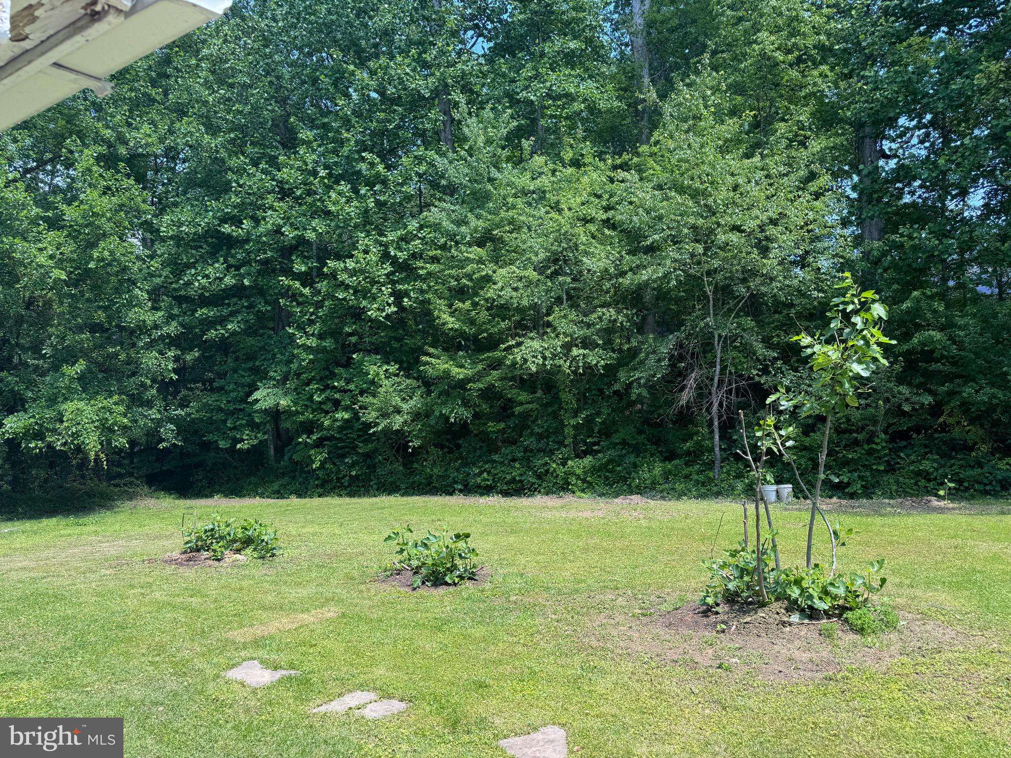 Fairfax, VA 22031,3901 GLENBROOK RD