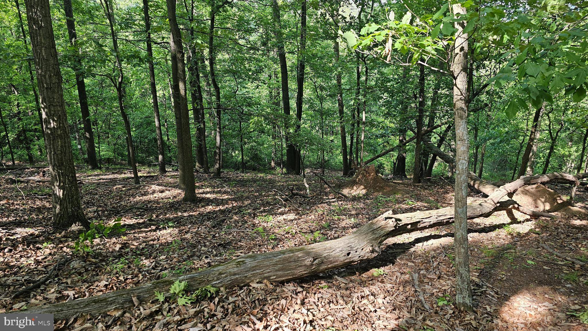 Mercersburg, PA 17236,0 DRY RUN RD/ POLECAT HOLLOW RD