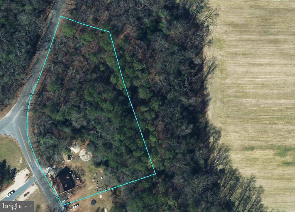 Sharptown, MD 21861,11699 NORRIS TWILLEY RD