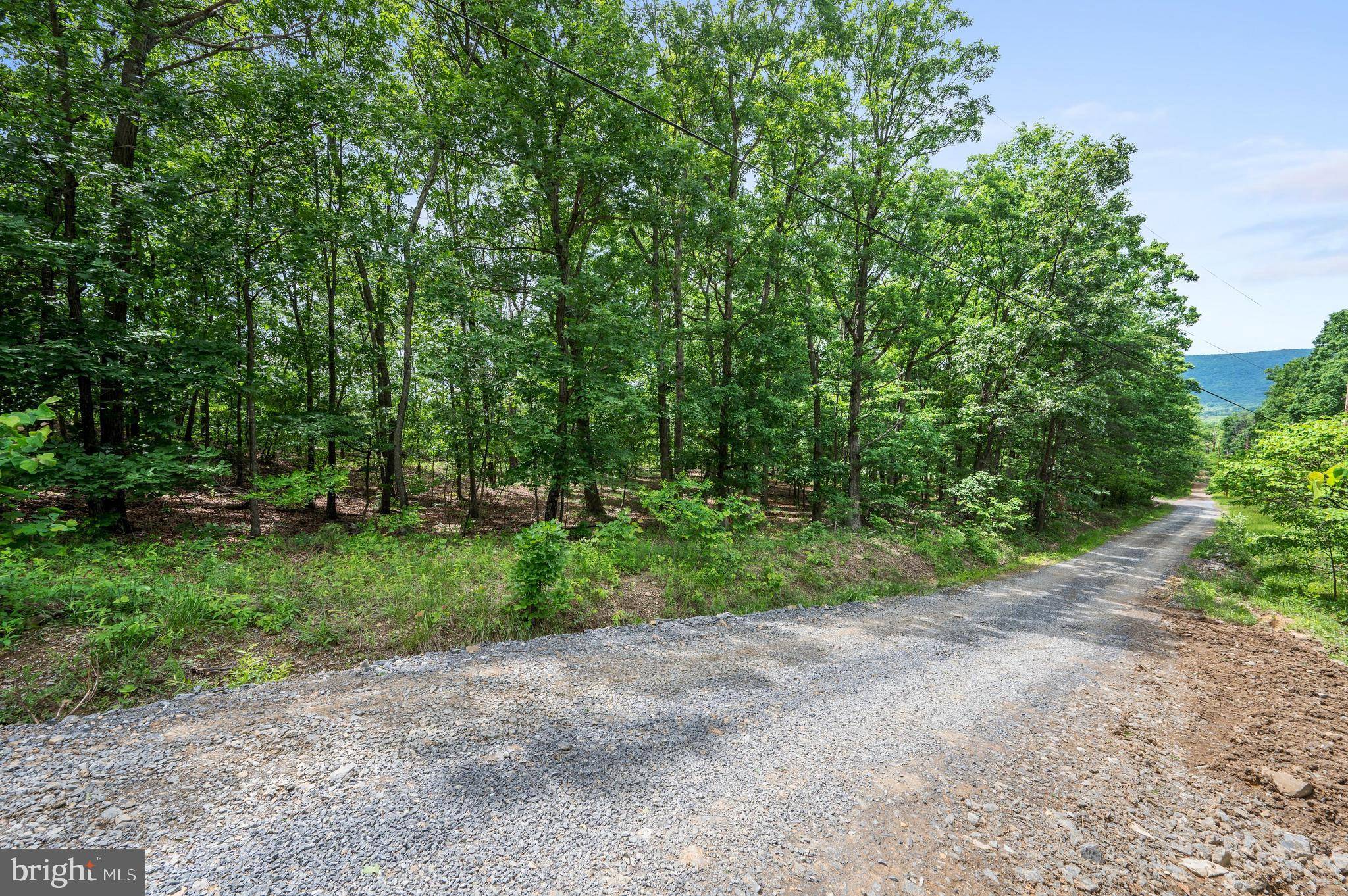 Winchester, VA 22601,LOTS 6 & 7 GLEN RIDGE RD