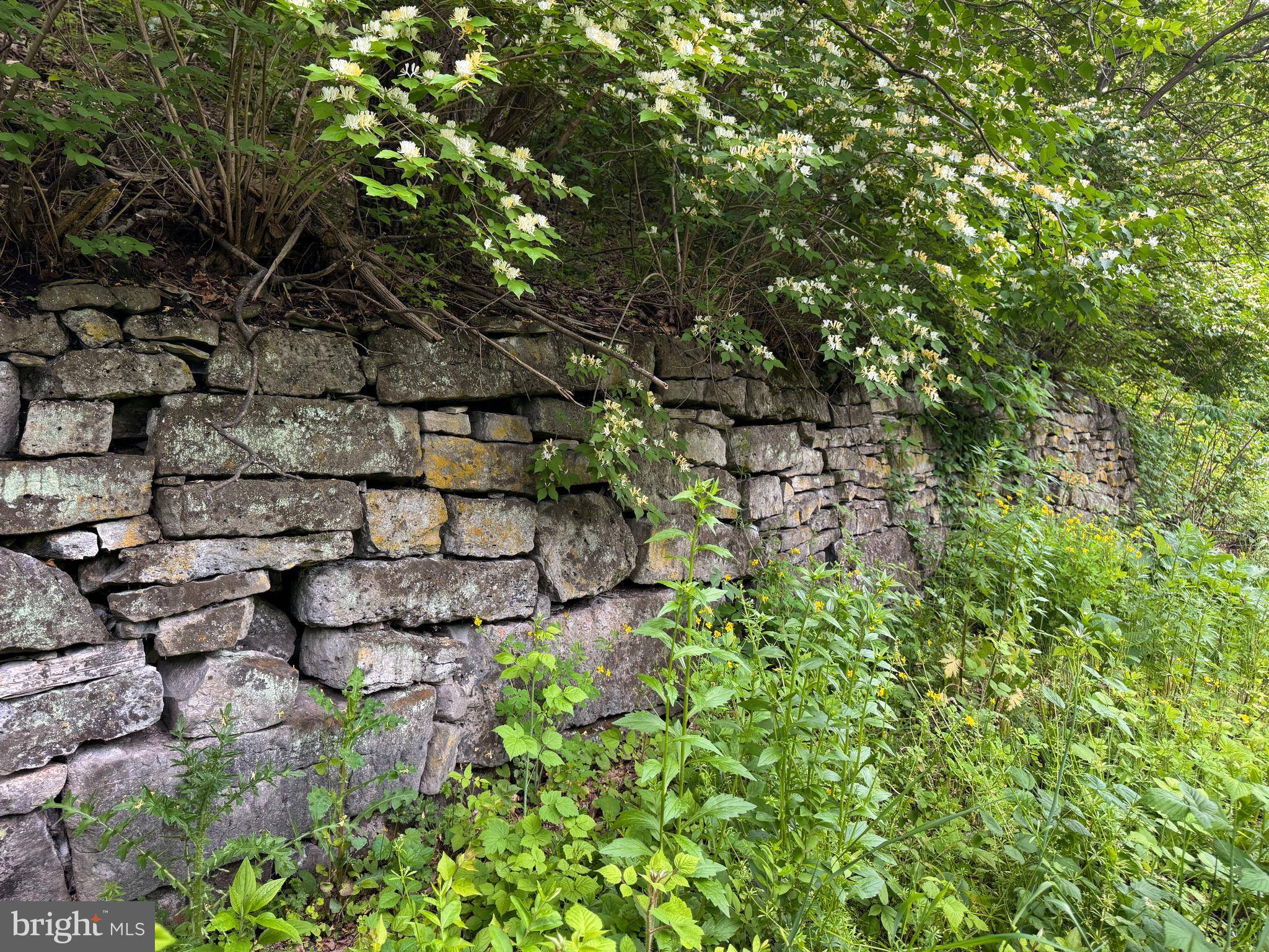 Pleasant Gap, PA 16823,1103 AXEMANN RD