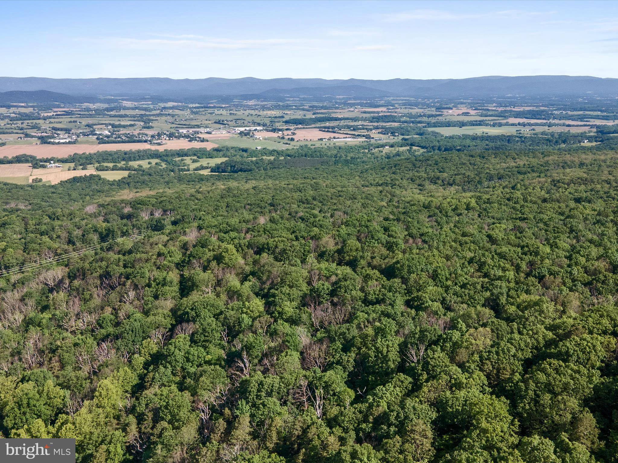Mount Jackson, VA 22842,MOUNTAIN LAUREL DR