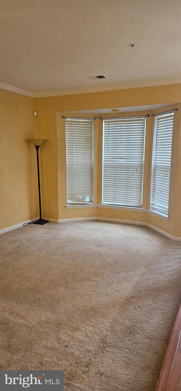 Capitol Heights, MD 20743,4601 PISTACHIO LN