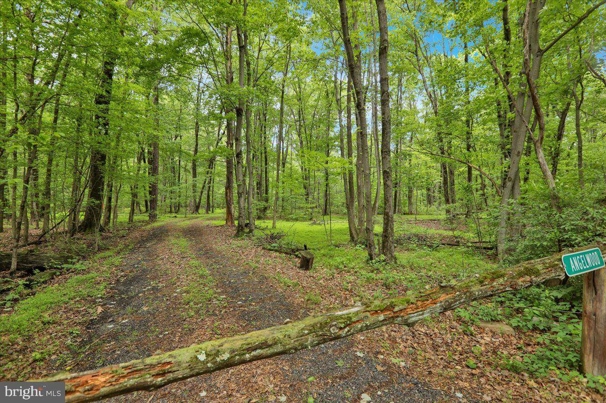Bernville, PA 19506,149 BLOODY SPRING RD