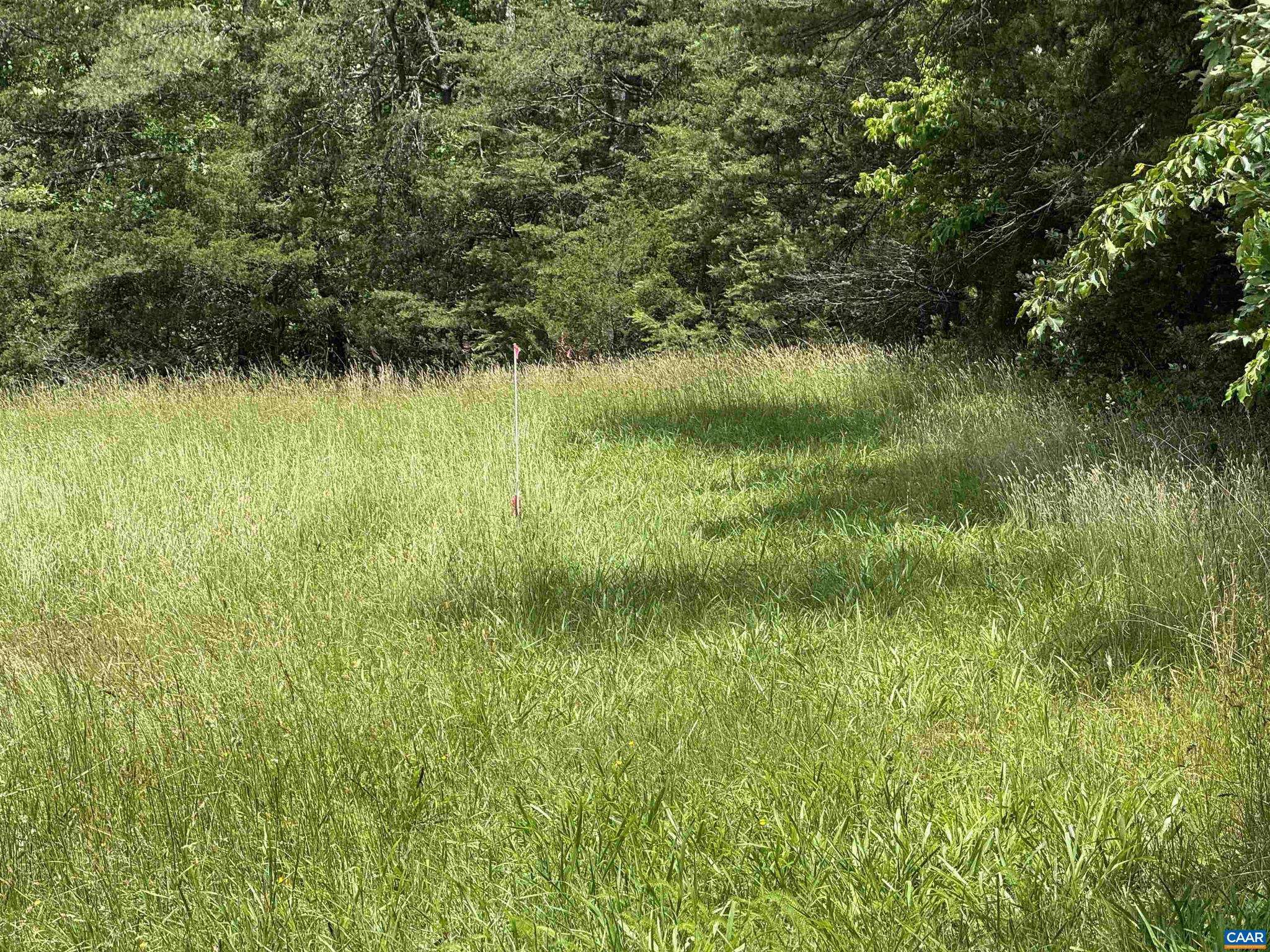 Earlysville, VA 22936,LOT D LINK EVANS LN #D