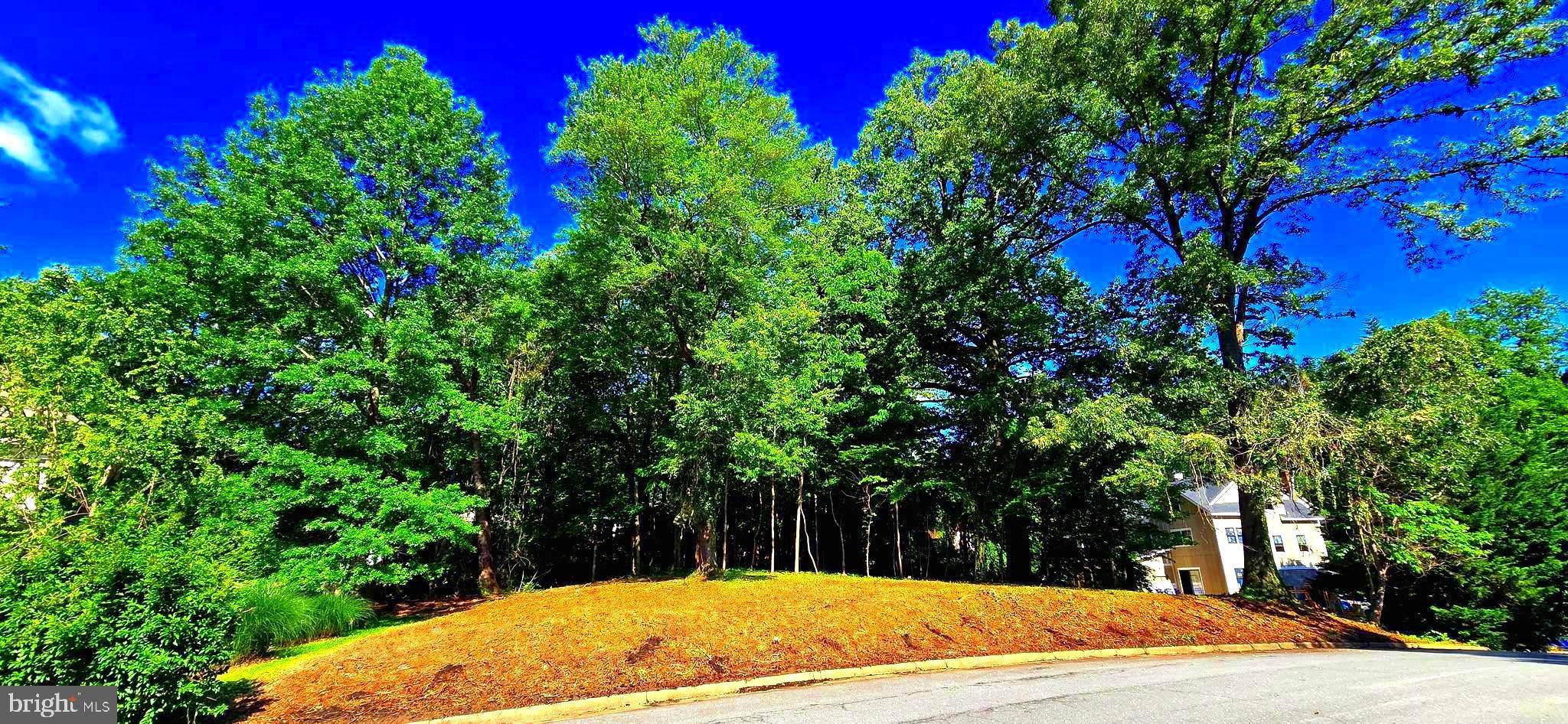 Mclean, VA 22101,1622 CRESCENT LN