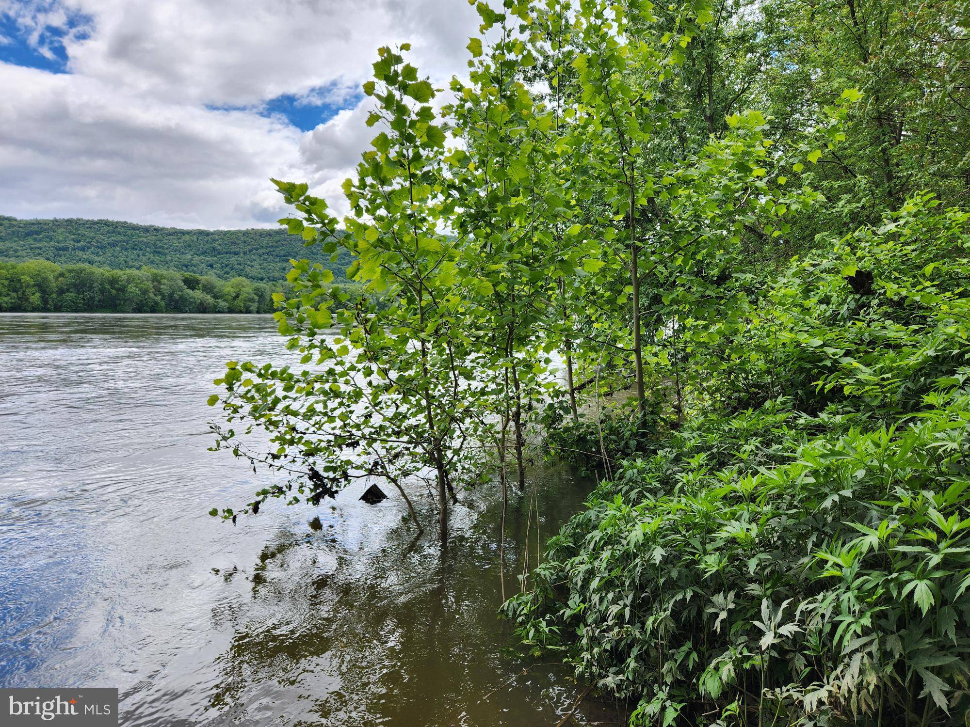 Liverpool, PA 17045,ROUTE 00015