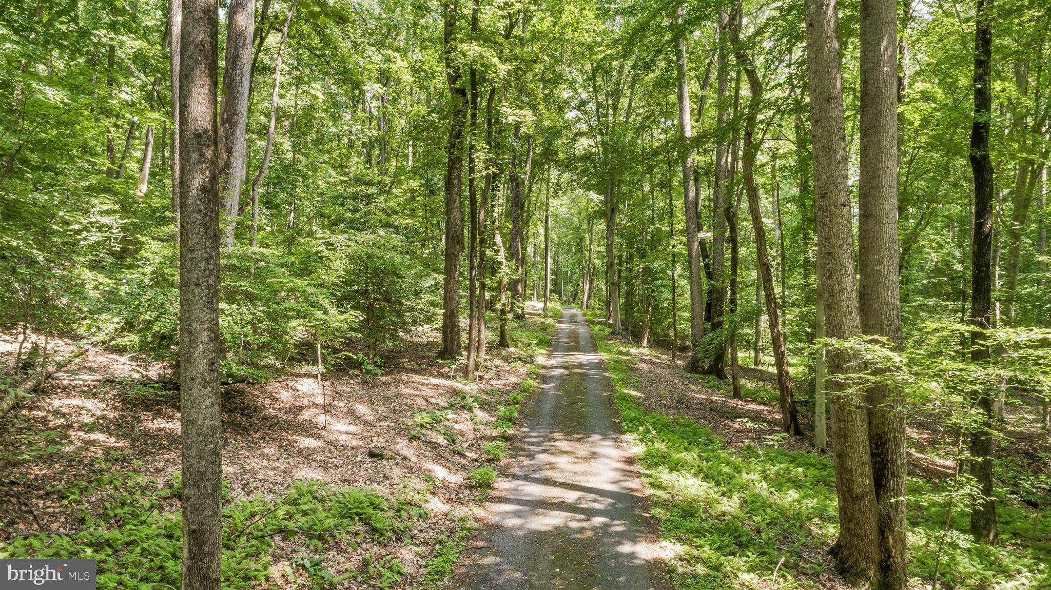 Charlotte Hall, MD 20622,11465 DORN DR