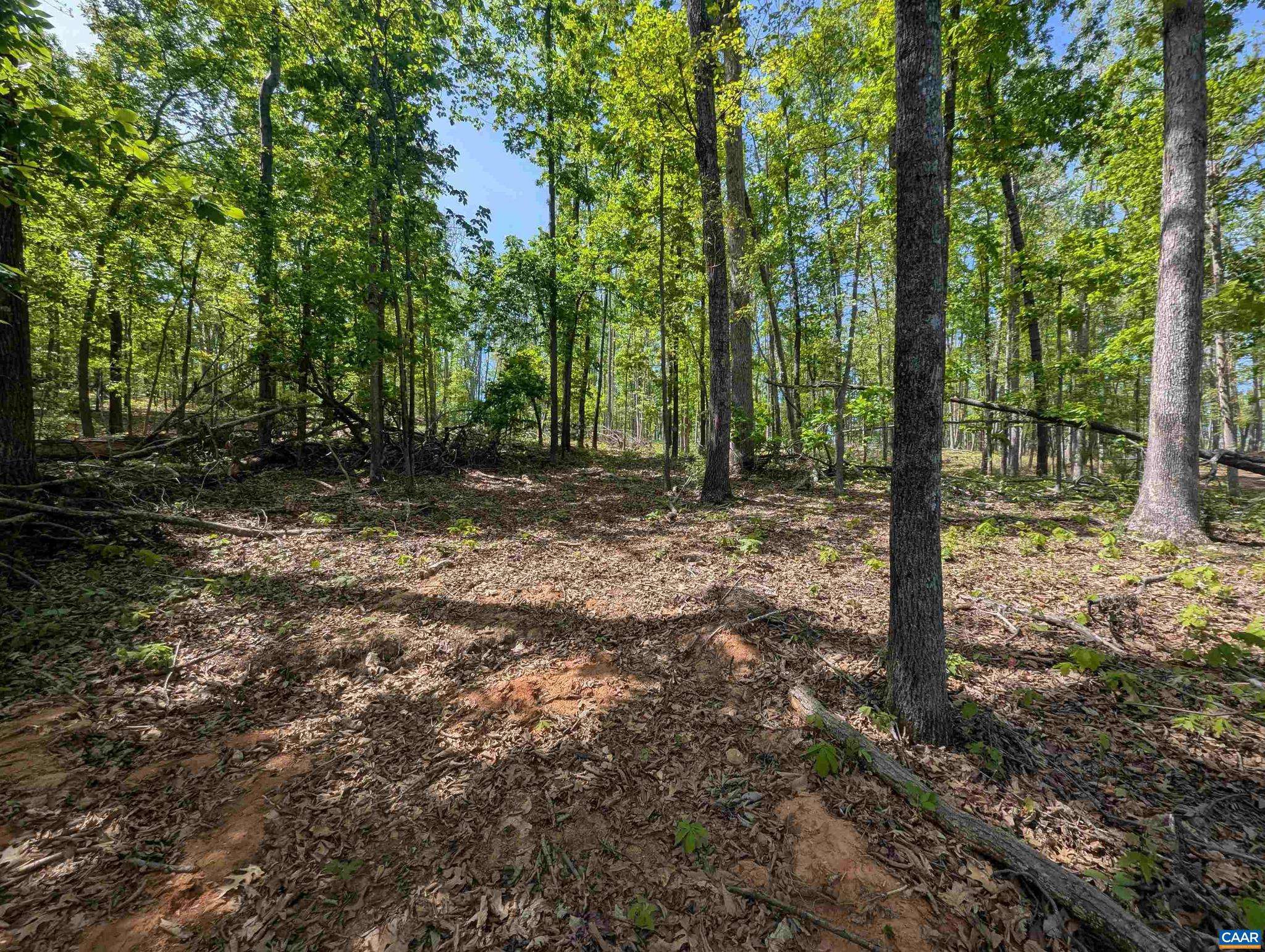 Ruckersville, VA 22968,LOT 10 ADVANCE MILLS RD
