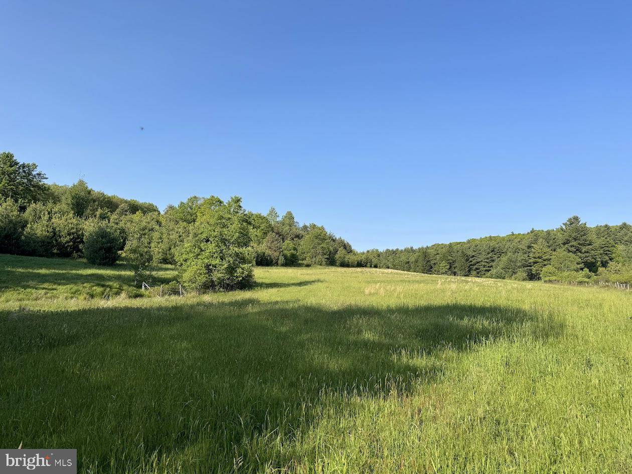 Swanton, MD 21561,BECKMAN-LOHR RD