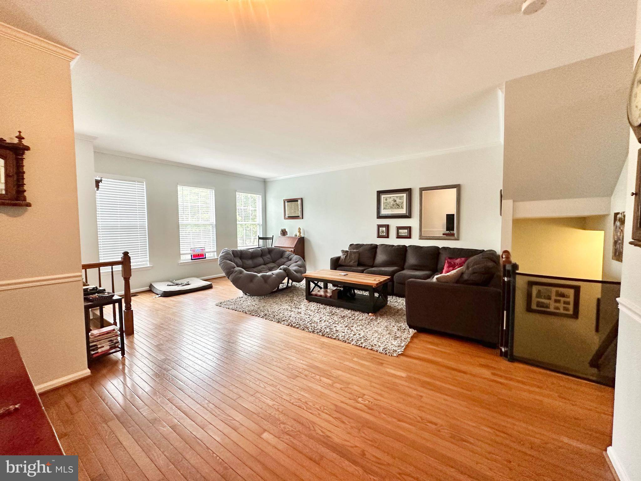 Alexandria, VA 22315,5516 JOWETT CT