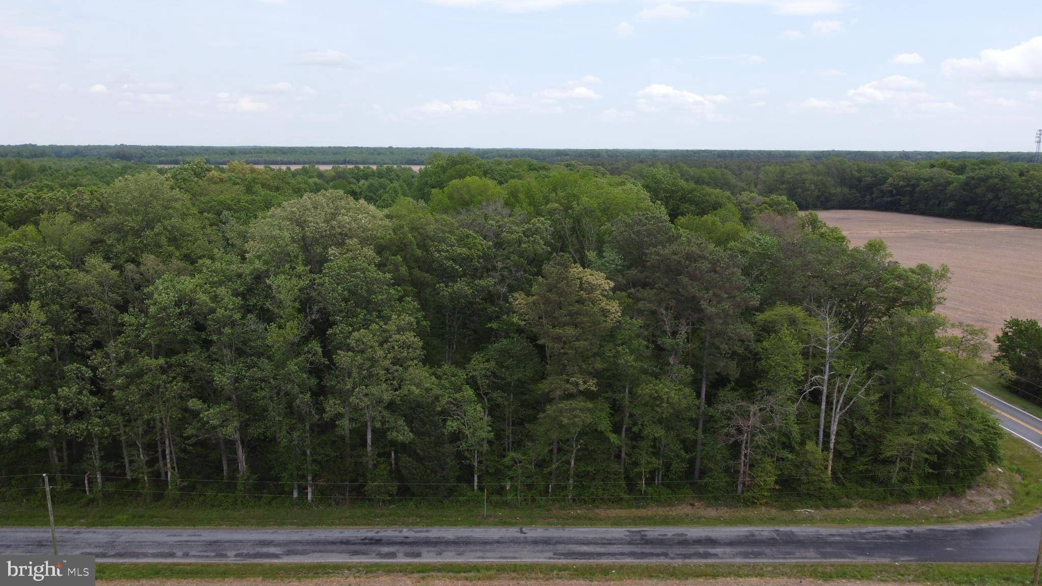 Felton, DE 19943,LOT 2B CEDAR GROVE CHURCH RD