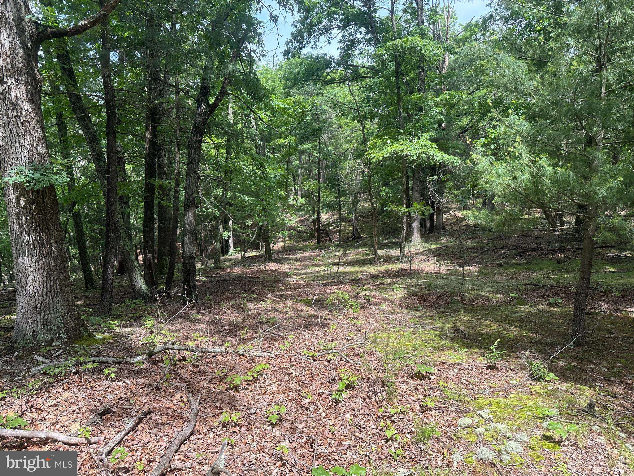 Springfield, WV 26763,2.23 AC DOE TRL