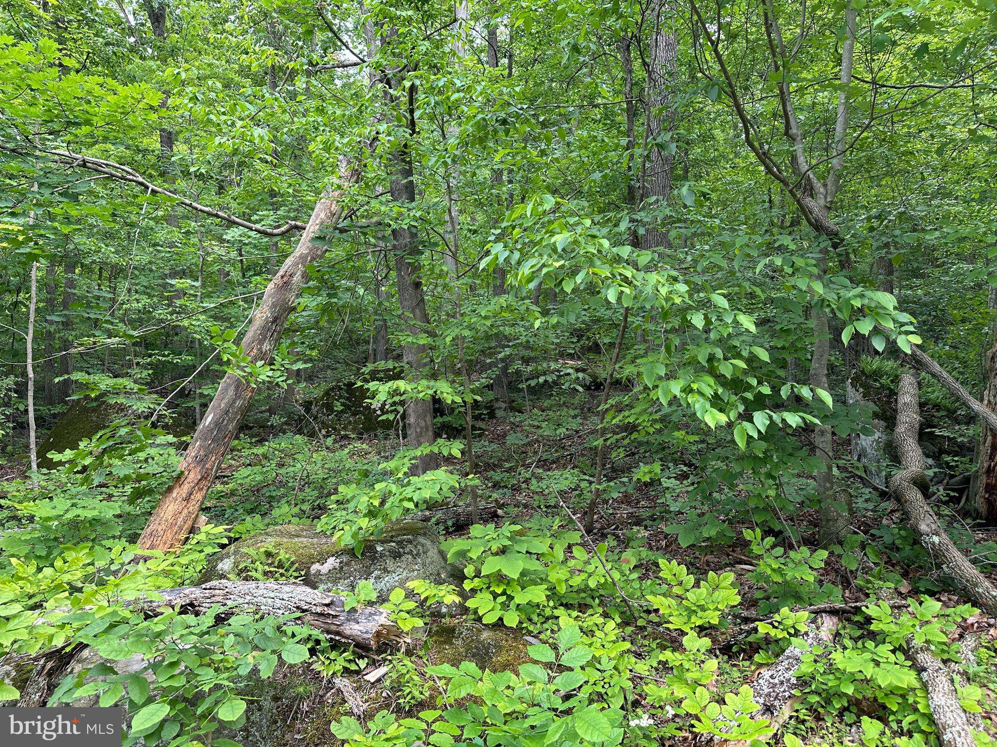Pennsburg, PA 18073,2751 SWAMP CREEK RD