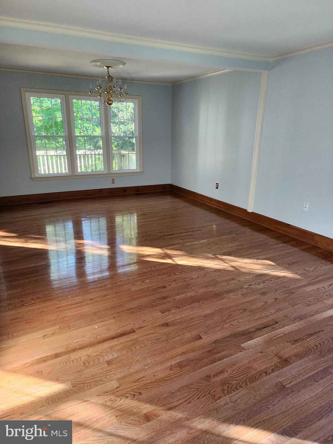 Springfield, VA 22152,6825 BLUECURL CIR