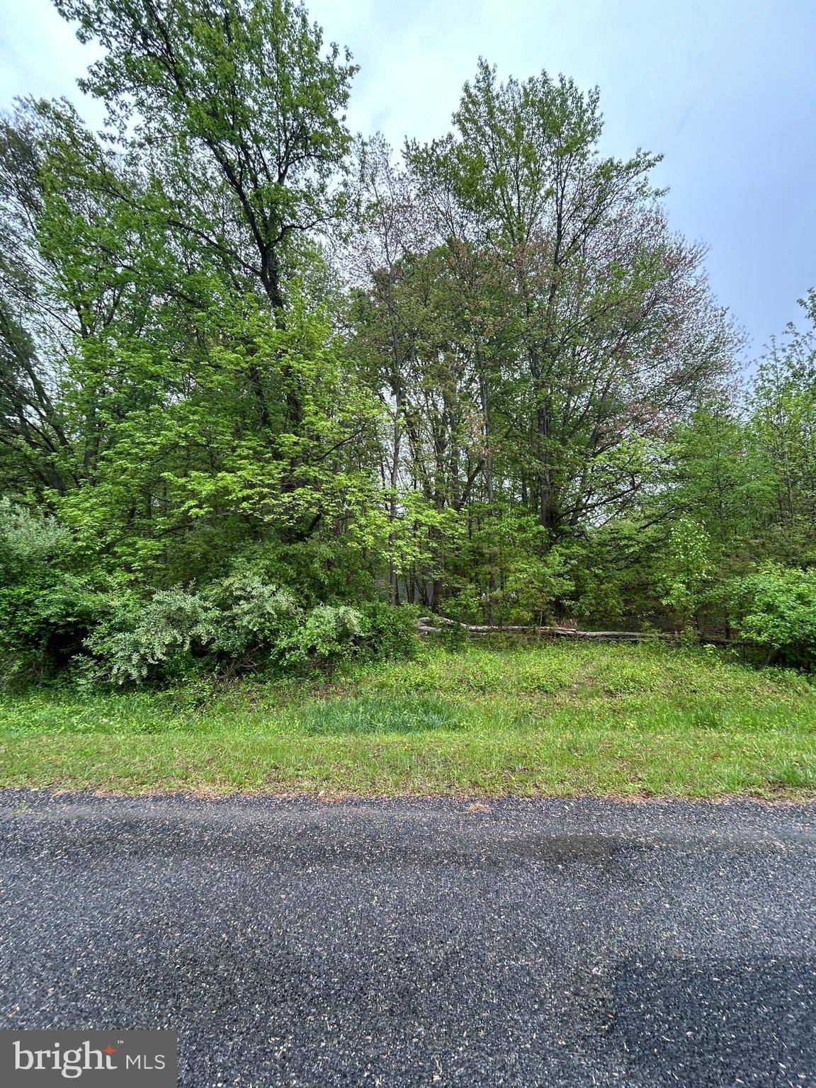 Chestertown, MD 21620,KINGLET RD