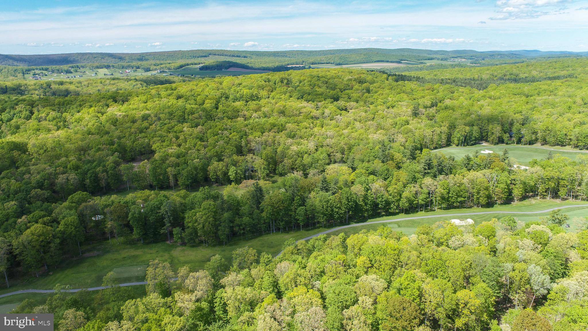 Swanton, MD 21561,LOT 5 AZALEA WAY