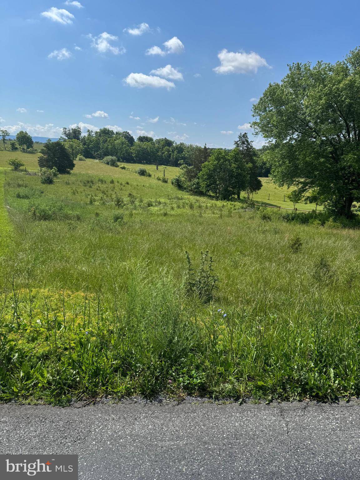 Maurertown, VA 22644,TBD BACK RD