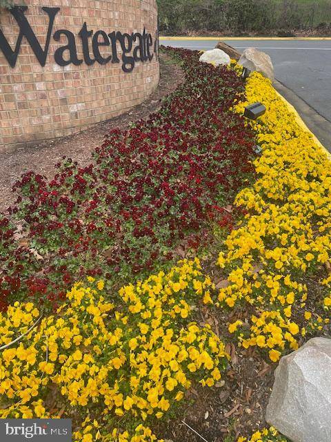 Alexandria, VA 22304,309 YOAKUM PKWY #1809