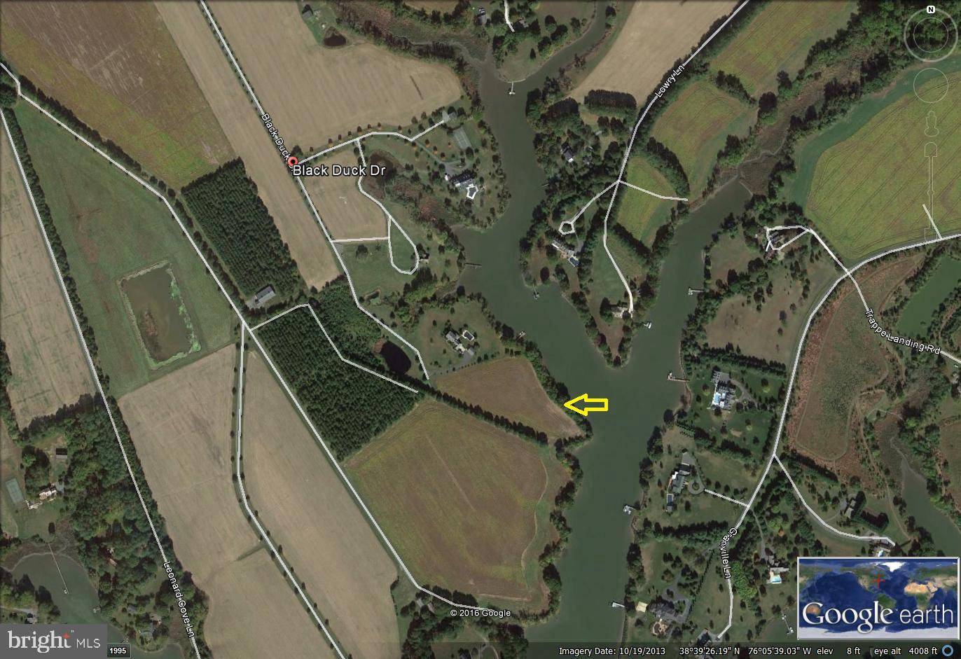 Trappe, MD 21673,BLACK DUCK DR