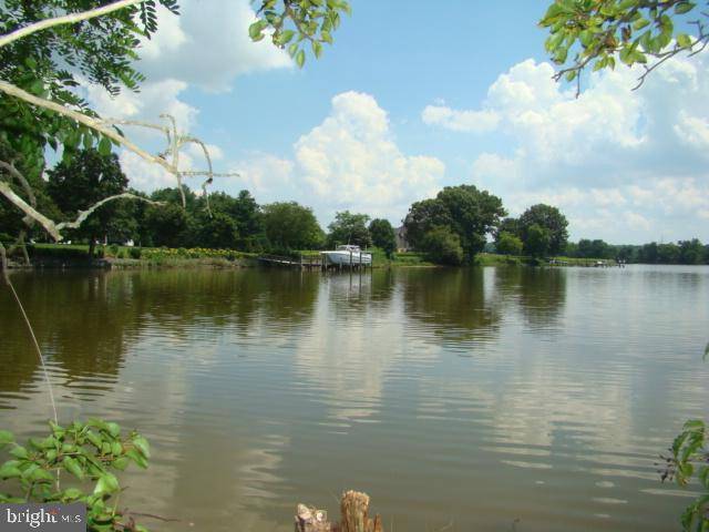 Trappe, MD 21673,BLACK DUCK DR