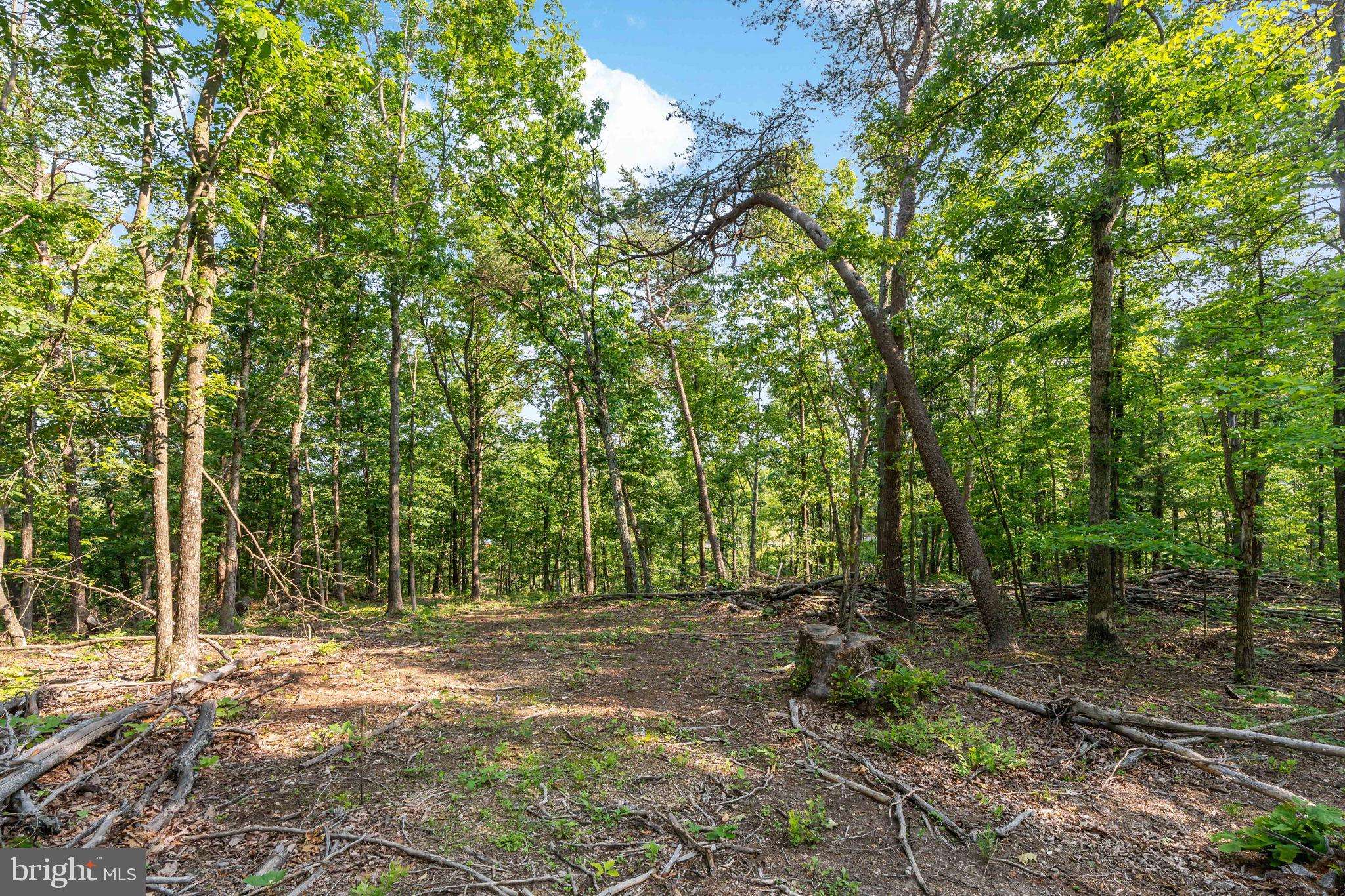 Hedgesville, WV 25427,LOT A SAW MILL ROAD