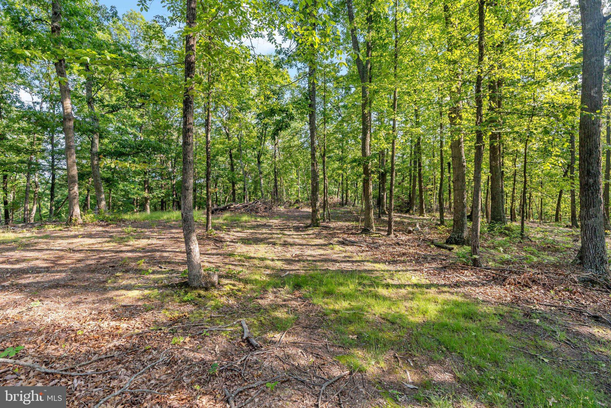 Hedgesville, WV 25427,LOT A SAW MILL ROAD