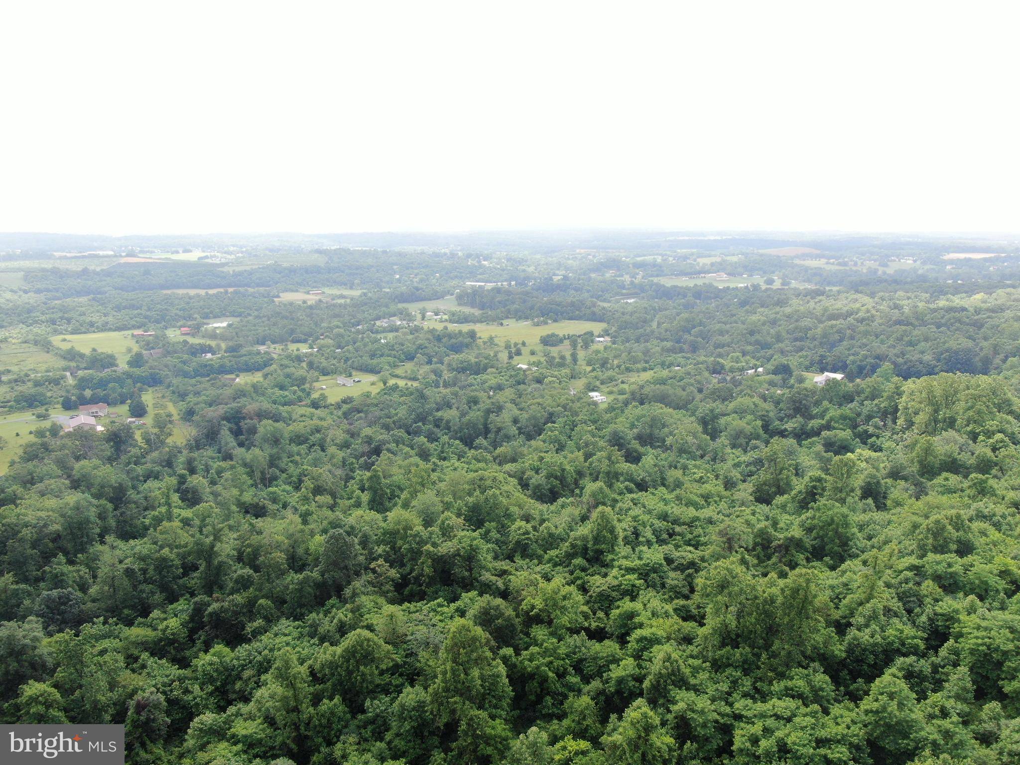 Martinsburg, WV 25403,52+/- ACRES NEEDMORE RD