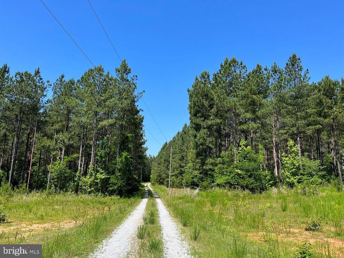 Meherrin, VA 23954,MOUNTAIN CREEK ROAD (TRACT: BK3208-1)