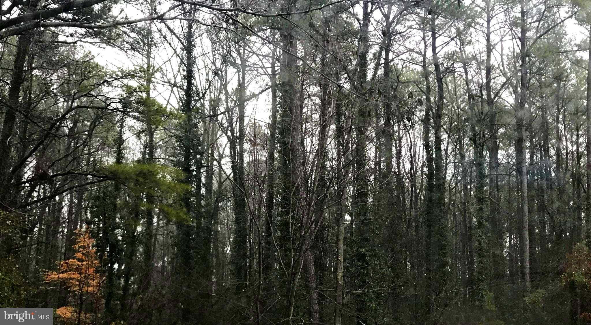 Lusby, MD 20657,215 LESSIN DR