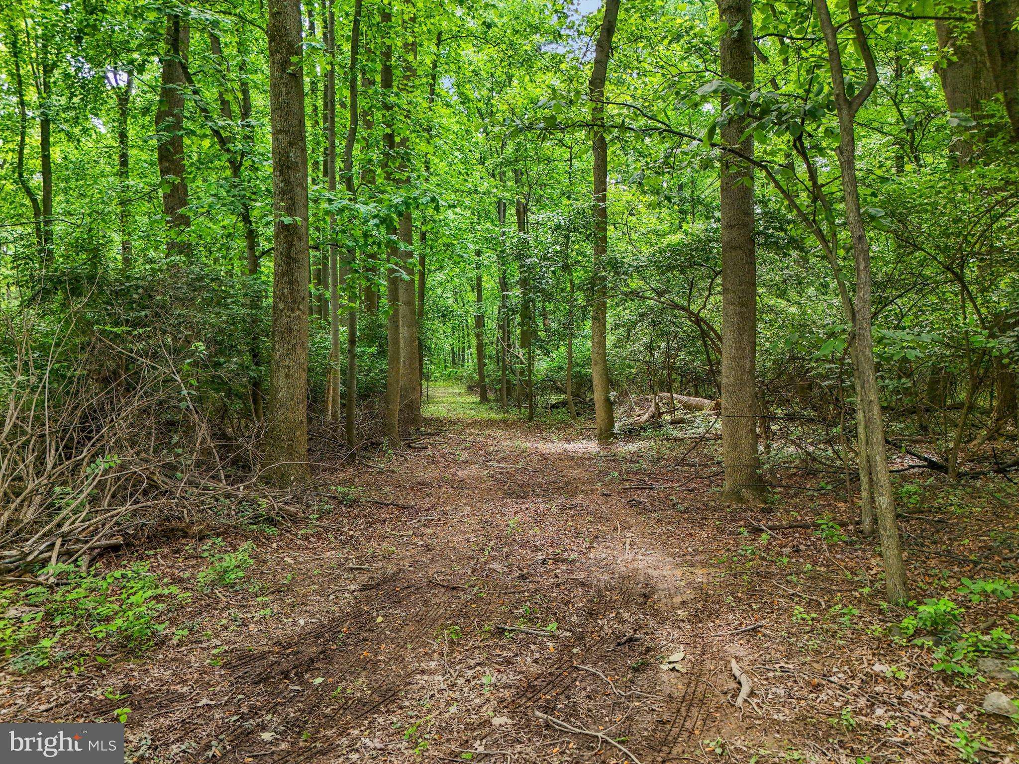 Mount Wolf, PA 17347,JERUSALEM SCHOOL RD